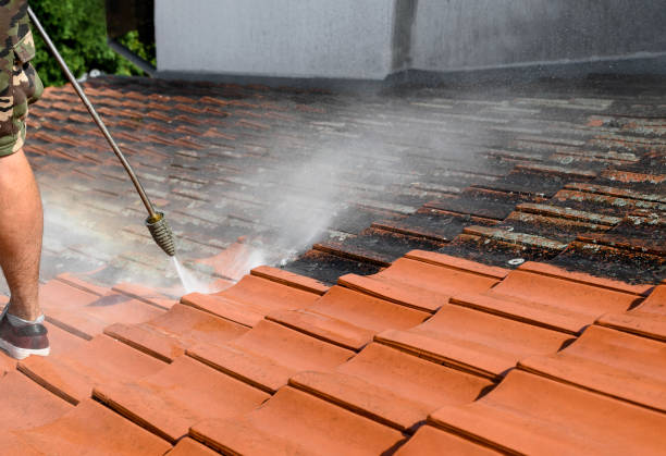 Best Deck Cleaning Services  in Springtown, TX