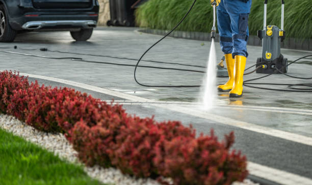 Best Affordable Pressure Washing  in Springtown, TX
